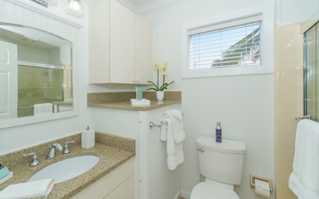 Guest Bath with Tub/Shower 